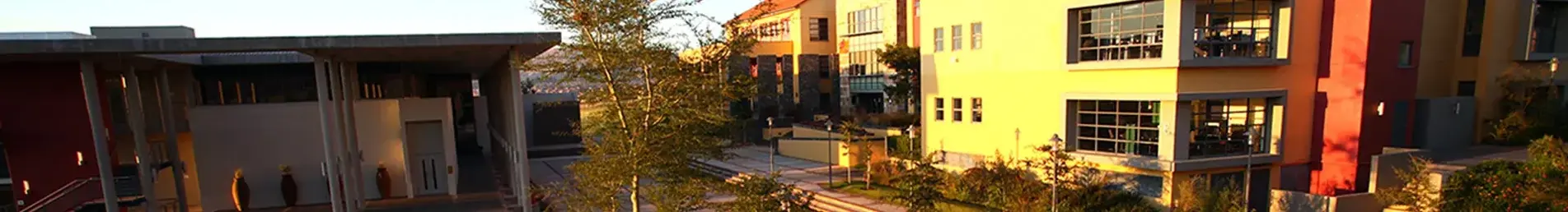 banner-image