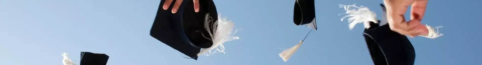 banner-image