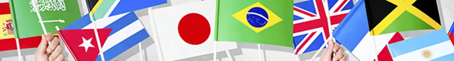 banner-image