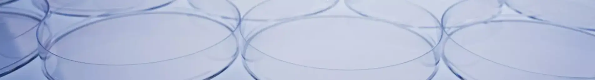 banner-image